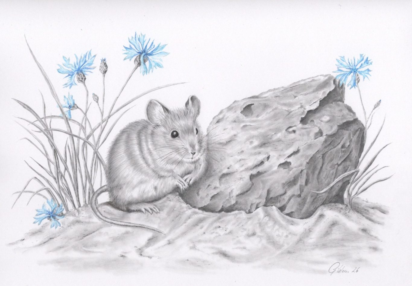 das Strandhaus Bleistiftkunst,eine realistische Zeichnung von einer Ruine am Strand