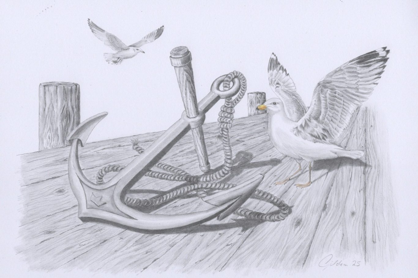 Seelenanker eine realistische Bleistiftzeichnung von einem Anker und einer Möve auf einem Bootssteg